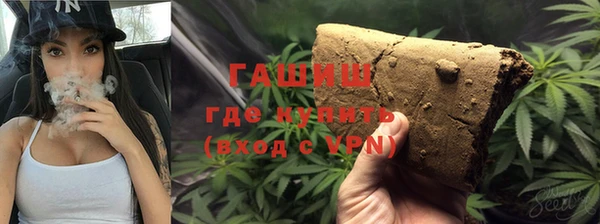 PSILOCYBIN Алзамай