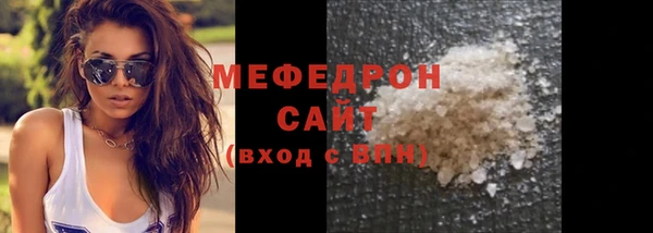 индика Осинники