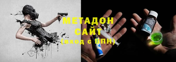 PSILOCYBIN Алзамай