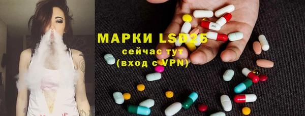 PSILOCYBIN Алзамай