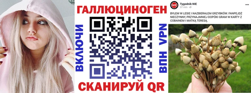 OMG зеркало  Новая Ляля  Галлюциногенные грибы ЛСД 
