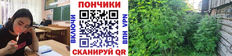 OMG ТОР  Новая Ляля  Бошки марихуана Amnesia 